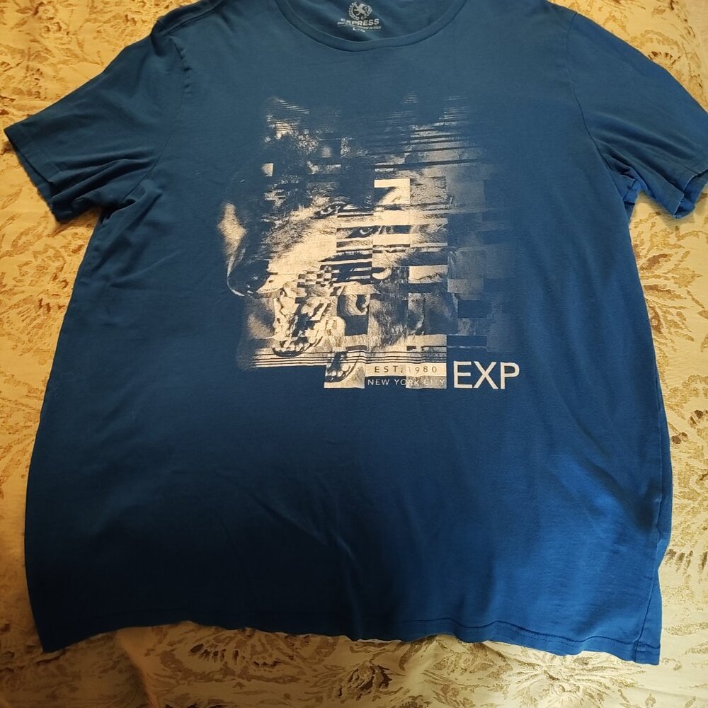 Mens Express Medium Blue Graphic T-shirt